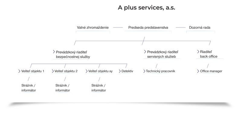 Štruktúra spoločnosti A plus services, a.s.